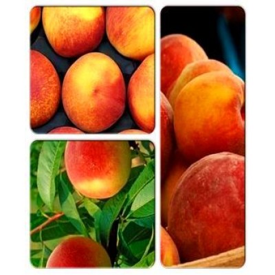 Персик > коллекция из 3-х сортов: Персик Сидоренко => Персик Валиант => Персик Велинг Персик > коллекция из 3-х сортов: Персик Сидоренко => Персик Валиант => Персик Велинг